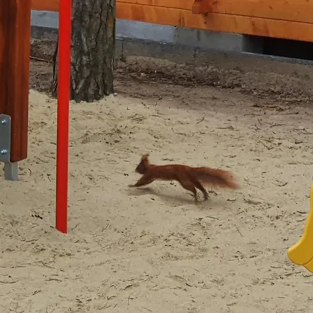 בית נופש Gromadka *