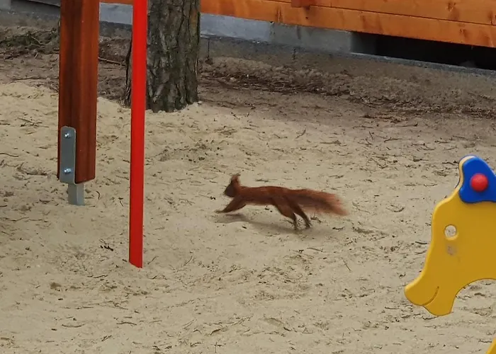 Casa de Férias Gromadka *